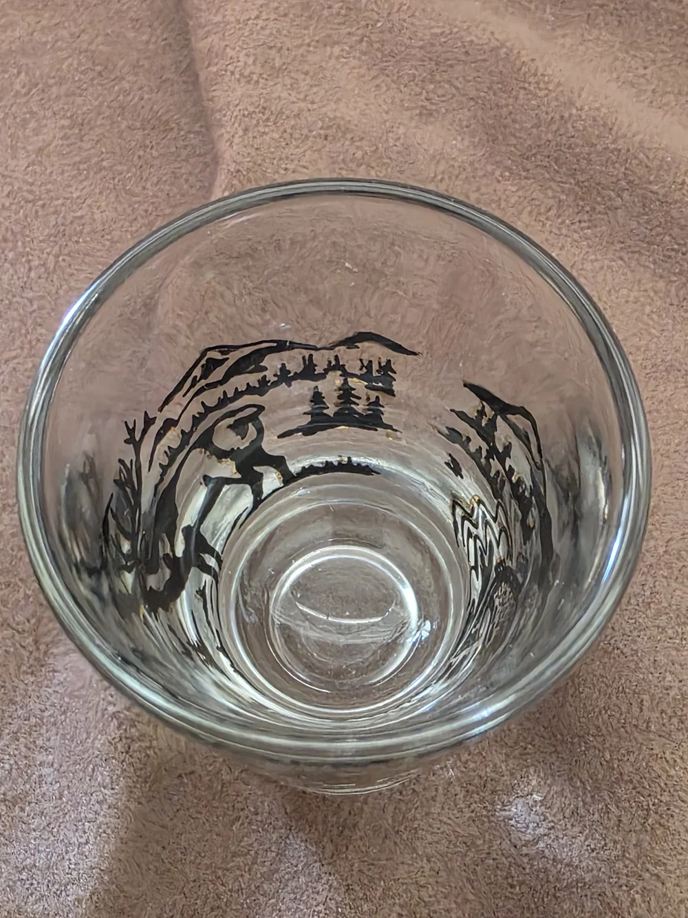 Oregon Scenic Glass Tumbler - Brown and Black